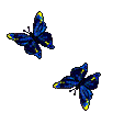 Gifs animados mariposas 3
