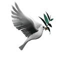 Palomita0